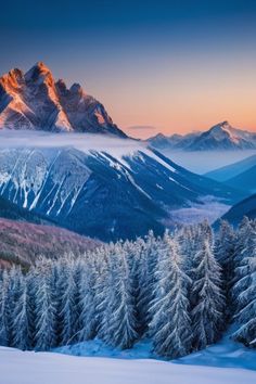 the mountains are covered in snow and surrounded by pine trees