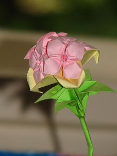 a pink and yellow flower is in a vase