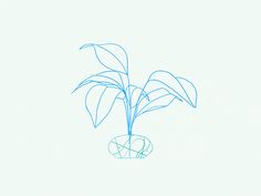 a drawing of a plant in a vase