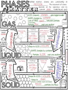 the phases of matter worksheet is shown with arrows pointing to different types of matter