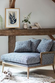 a dog laying on the floor in front of a couch with blue and white pillows