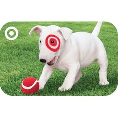 a white dog is playing with a red ball on the grass and has an target in it's mouth