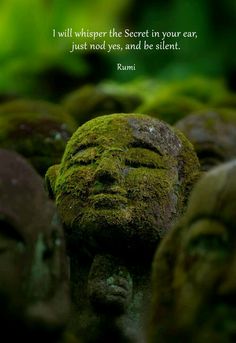 moss covered buddha heads are in the middle of a group of smaller statues with their eyes closed