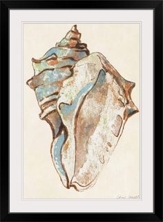 a drawing of a seashell on a white background with blue and brown colors,