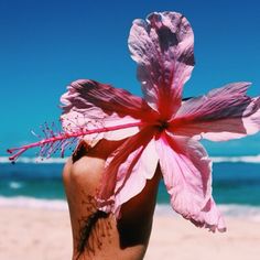 a woman's hand holding a pink flower on the beach