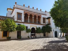 a large white building with lots of windows