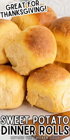 sweet potato dinner rolls on a plate with the words great for thanksgiving