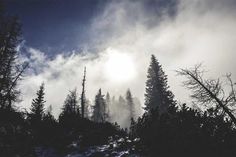 the sun shines through the clouds over some trees on a snowy mountain side in winter