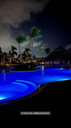 an empty swimming pool at night with palm trees in the background and lights reflecting on the water