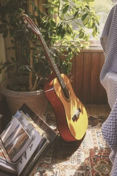 a guitar sitting on top of a rug next to a potted plant and magazine