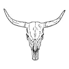 an animal skull with large horns on it's head, drawn in black and white