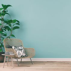 a chair sitting next to a potted plant on top of a hard wood floor