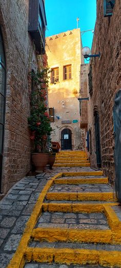 an alleyway with yellow steps and potted plants