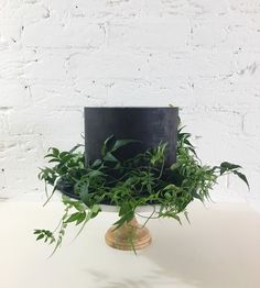 a black hat with green plants in it sitting on a white table next to a brick wall