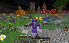 an image of a minecraft game being played