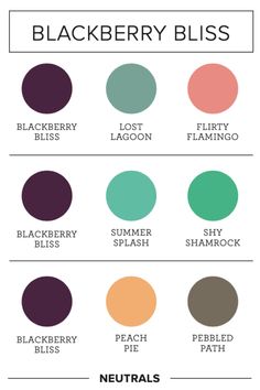 the different shades of blackberries, peaches, and other berries are shown in this chart