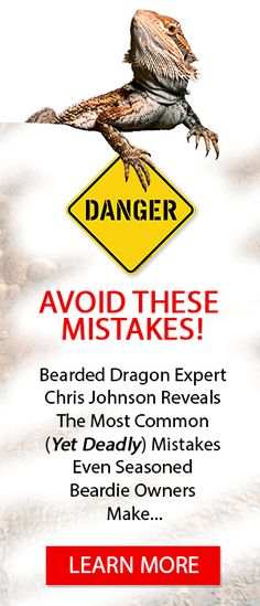 a sign warning people to avoid the dangers of bearded dragon