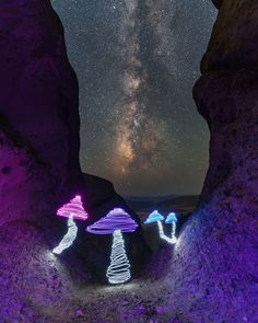 some lights in the shape of mushrooms are lit up with purple and blue colors as they look at the night sky