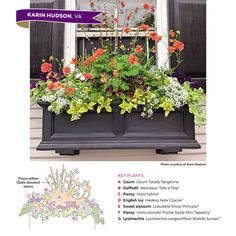 an image of a window box with flowers in it and instructions on how to plant them