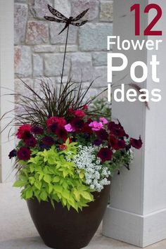 a potted plant with flowers in it sitting on a porch