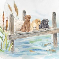 Woodland Dogs IV Poster Print by Cynthia Coulter-VARPDXRB14632CC Image 1 Dog Prints Art, Mini Arts, Dog Watercolor Painting, Dog Drawings, Dog Bathroom, Classy Art, Coaster Art, Storybook Art, Art 2024