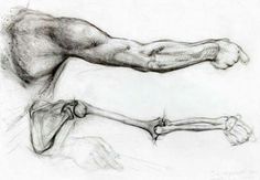 a pencil drawing of a man's arm and leg