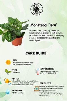 an info sheet describing the different types of plants and their uses in gardening, including houseplants