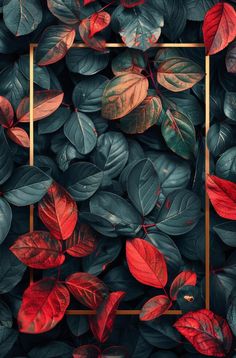 red and green leaves with a gold square frame in the middle on a black background