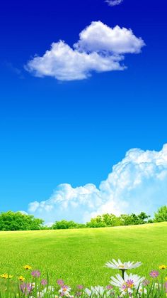 a field with flowers and clouds in the sky