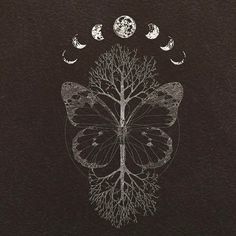 a drawing of a butterfly with trees and moon phases in the background, on black paper