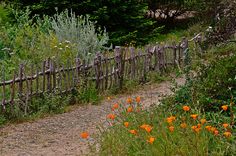 a wooden fence with flowers growing along it