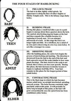 Types Of Locks For Hair, Starter Locs Care Tips, Starter Loc Parting Patterns, 90 Locs Count, Loc Progression, Loc Grid Pattern, Starter Loc Sizes, Locs Growth