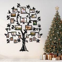 a family tree with many pictures hanging on it's sides and a christmas tree in the background