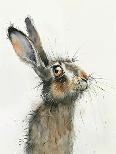 a watercolor painting of a rabbit looking up