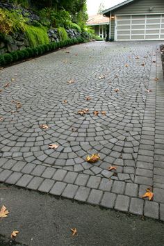 a dog is standing in the driveway looking at something