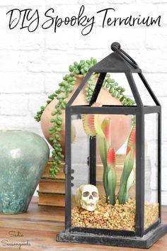 a skull in a glass lantern with succulents and other plants on the table