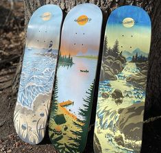 three snowboards are lined up against a tree in front of a lake and beach