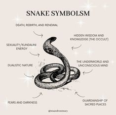 the anatomy of a snake's head and its names in english, spanish, and german