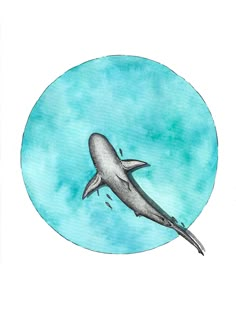 a drawing of a whale swimming in the ocean