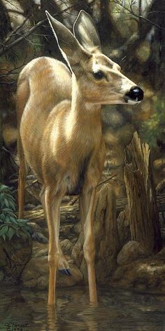 a painting of a deer in the woods