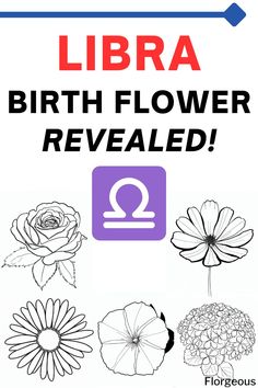 Libra Birth Flower Libra Flower Tattoo Birth Month, Libra Flower Tattoo, Libra Birth Flower, Libra Flower, Libra Symbol, Tattoos To Cover Scars, Libra Women, Birth Flower Tattoos