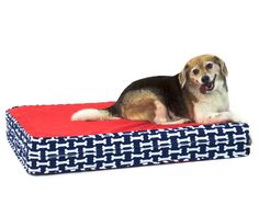 a dog laying on top of a blue and white bed with a red pillow next to it