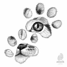 an animal's eye is shown with the paw print out and it appears to be drawn