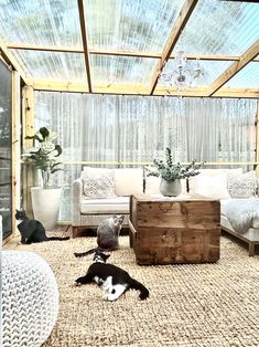 a living room filled with furniture and lots of cats laying on the floor next to it