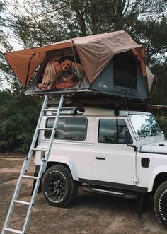 a dog sitting on top of a tent in the back of a white truck with a ladder