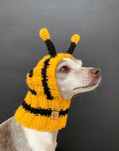 a dog wearing a knitted bee hat