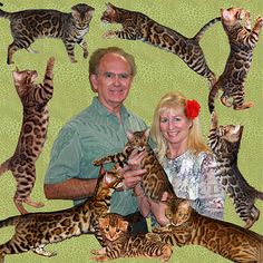 a man and woman are holding cats in front of green background with smaller kittens all around them