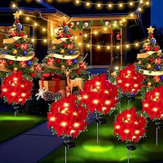 lighted christmas trees and poinsettis in front of a house