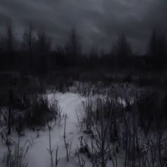 a black and white photo of snow covered ground with trees in the background at night