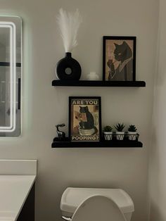 a white toilet sitting in a bathroom next to a wall with pictures on top of it